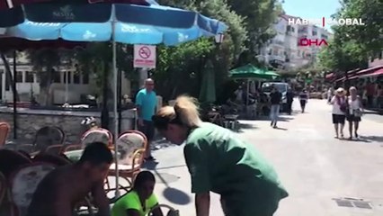 İngiliz turistlerden büyük duyarlılık... Köpeğin yanı başından ayrılmadılar