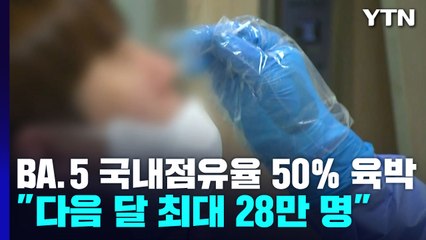 전파력 큰 BA.5 우세종화 임박..."다음 달 최대 28만 명" / YTN