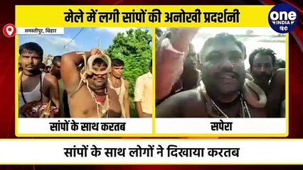बिहार: मेले में लगी सांपों की अनोखी प्रदर्शनी, देखिए शानदार वीडियो