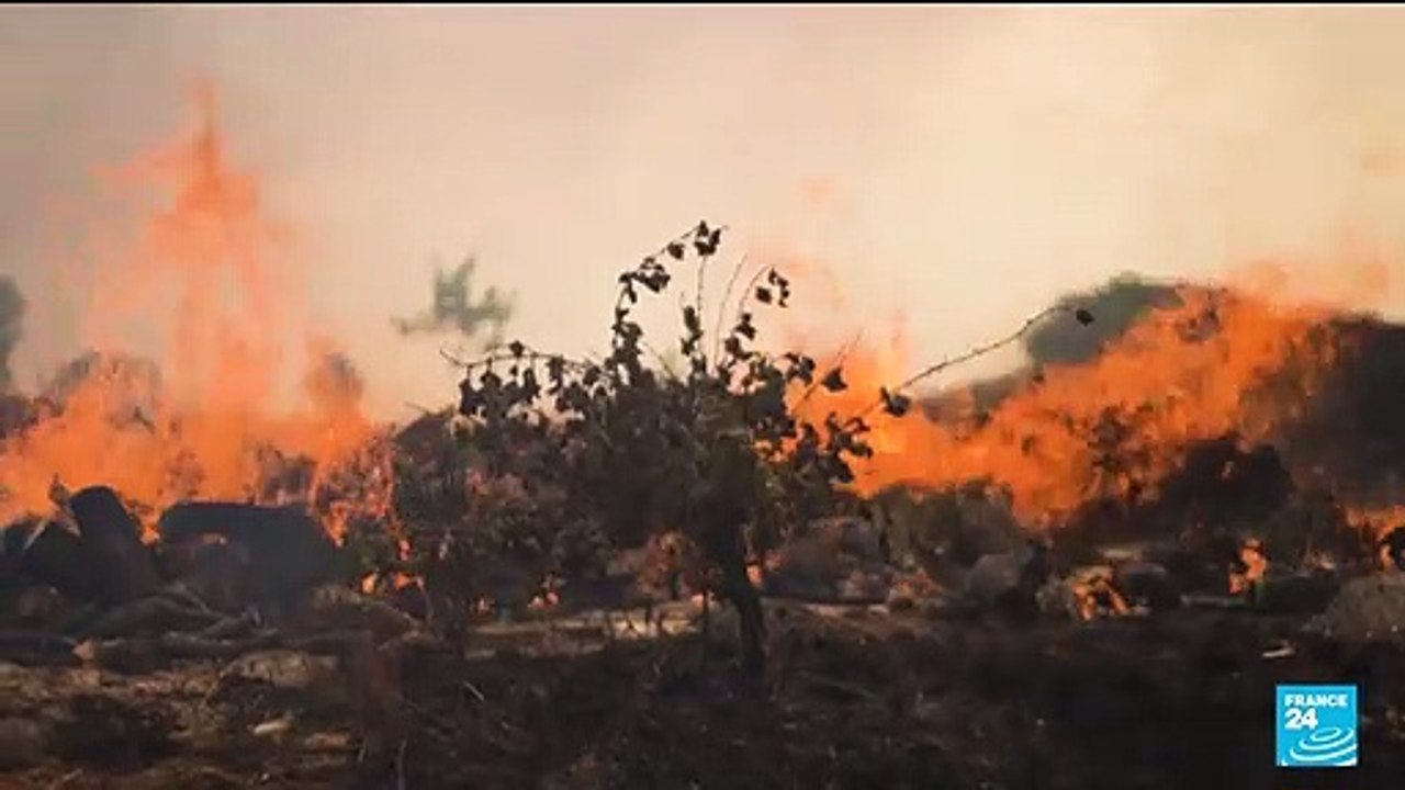 Clothes on fire, hero digger driver escapes Spanish wildfire