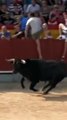 Funny Bull/Comedy Bull Video#Animals World Pro