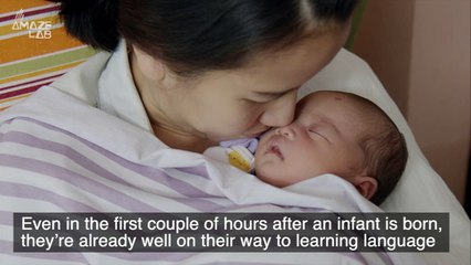 Babies Begin Learning Language Immediately After Being Born