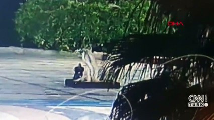 Simge ağacı kim zehirledi? Görüntüler ele verdi