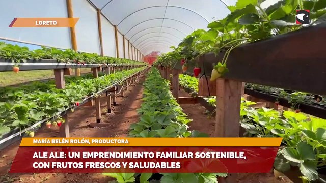 Ale Ale: un emprendimiento familiar sostenible, con frutos frescos y saludables