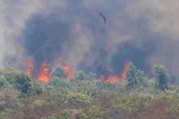 تضامن في كارثة حرائق المغرب