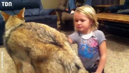 Il offre un chiot à sa famille mais il découvre qu'il s'agit d'un tout autre animal !