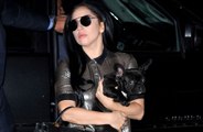 US Marshals hunting for Lady Gaga dog walker shooting suspect