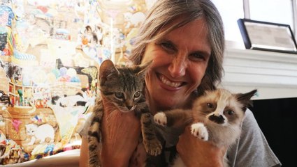 Inside The Charm School For Rescue Kittens | CUTE AS FLUFF