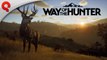 Tráiler y fecha de lanzamiento de Way of the Hunter: el videojuego de caza llega a PC y consolas