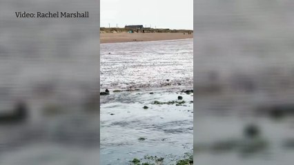 Hand grenade detonated at South Beach Heacham