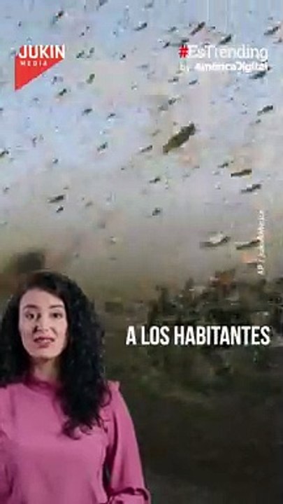 Impactante: así se ve una plaga de langostas en un pueblo de Rusia