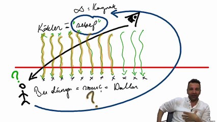 Neden Bir Yaradan Var?