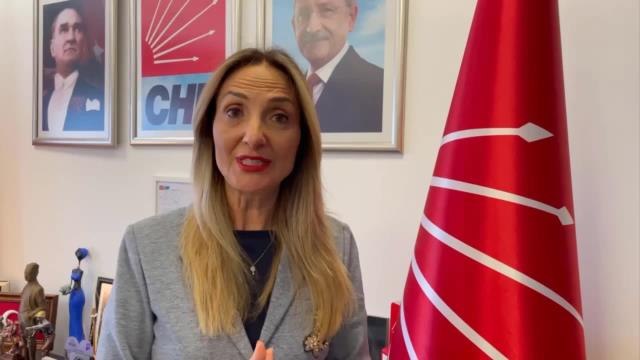 Aylin Nazlıaka'dan Danıştay'a İstanbul Sözleşmesi Tepkisi: Katledilen Tüm Kadınların Vebali Tek Adamın Sorumluluğudur