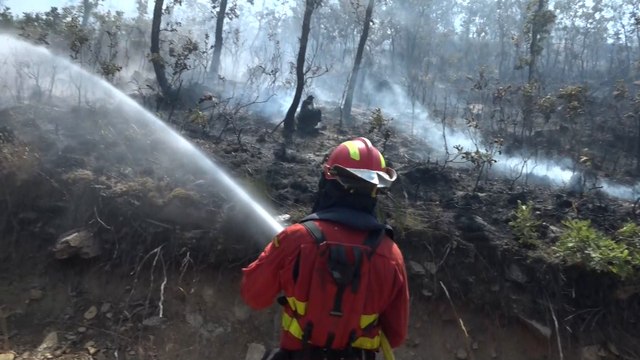 Los bomberos de Castilla y León, al límite: Perder la vida es peor que perder el trabajo