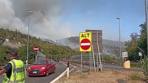 Incendio nel Carso triestino, polizia e canadair in azione per domare le fiamme