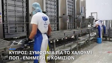 Σε επαφή με κυπριακές αρχές η Κομισιόν για αιτούμενες αλλαγές στον φάκελο για χαλούμι
