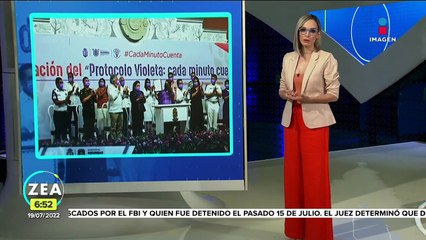 Guerrero y Morelos unen esfuerzos por la "Alerta Violeta"