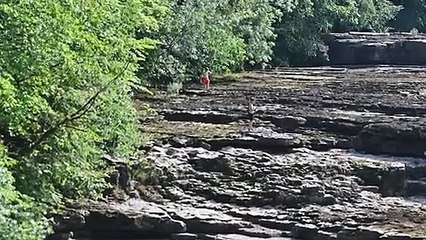 Aysgarth Falls runs dry in scorching heatwave