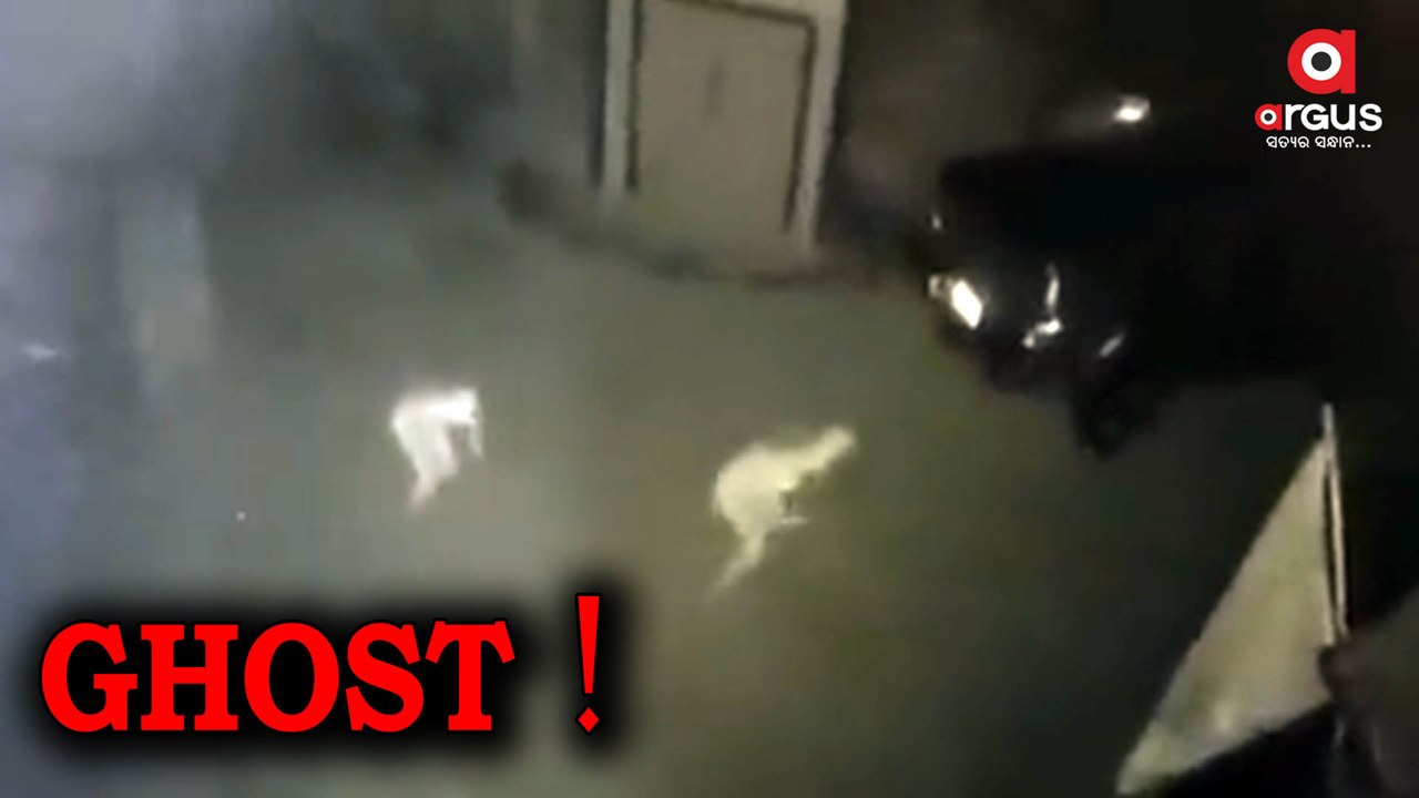 Watch | Is It A Ghost ?