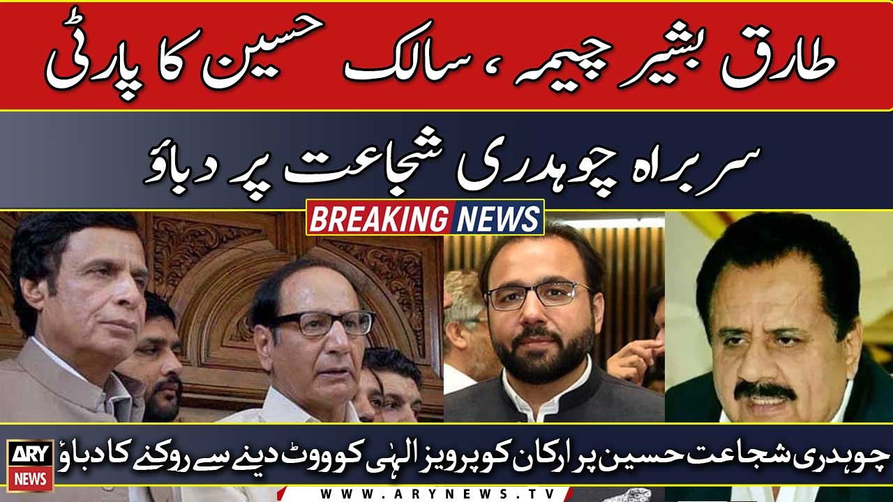 Tariq Cheema and Salik Hussain pressurized Chaudhry Shujaat not to vote for Pervaiz Elahi