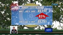 Kaso ng dengue sa bansa, 83% na mas mataas kumpara noong isang taon | Saksi