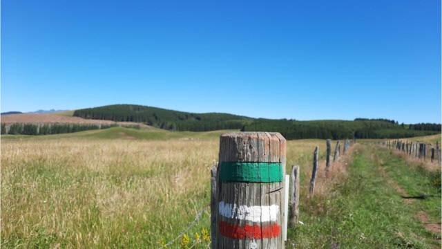 Randonnée de Jassy - La Godivelle dans le Puy de Dôme