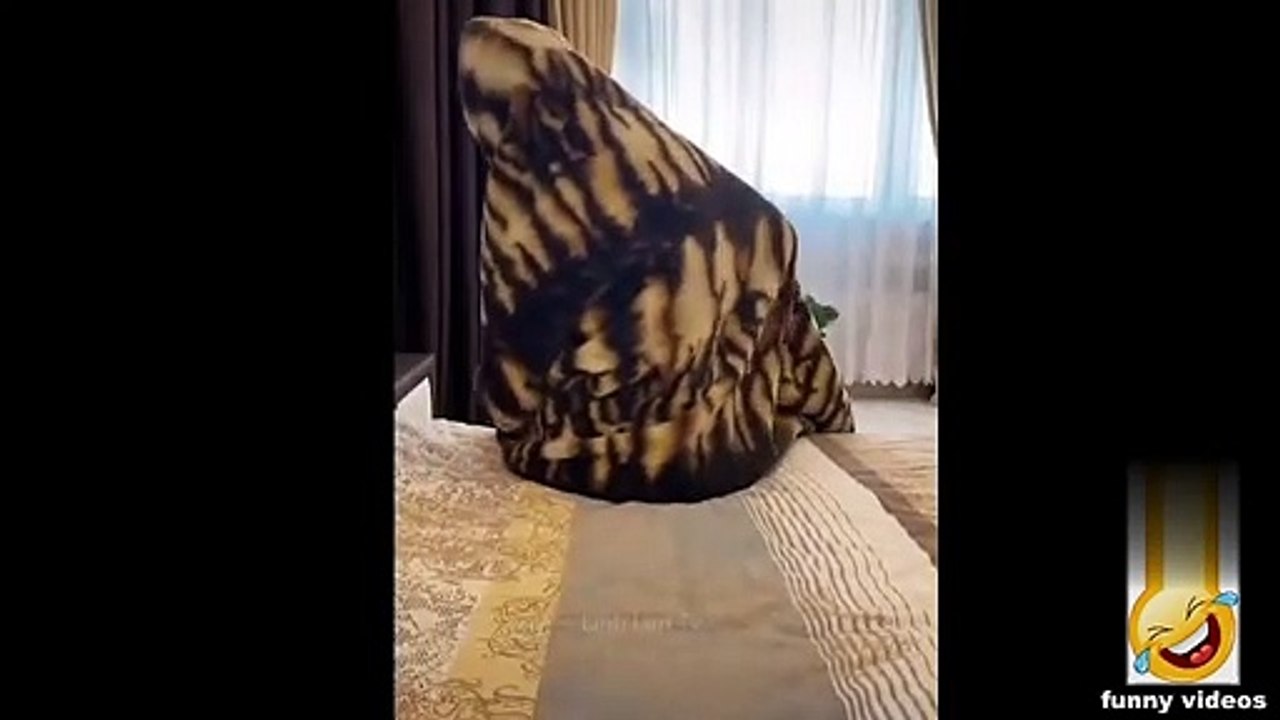 Funny shorts #7
