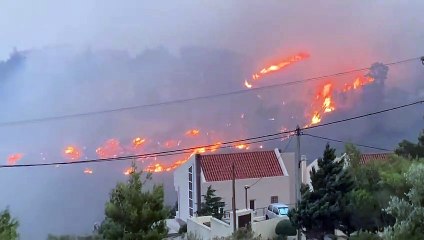 Télécharger la video: Grécia. Incêndio florestal ameaça residências em Atenas