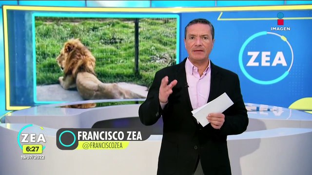 Eduardo Serio acumula denuncias por presunto maltrato animal