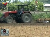 UNELLEZ planifica la siembra de maíz en 60 hectáreas del estado Barinas