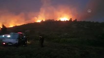 Son dakika haberleri... Atina yakınlarında orman yangını