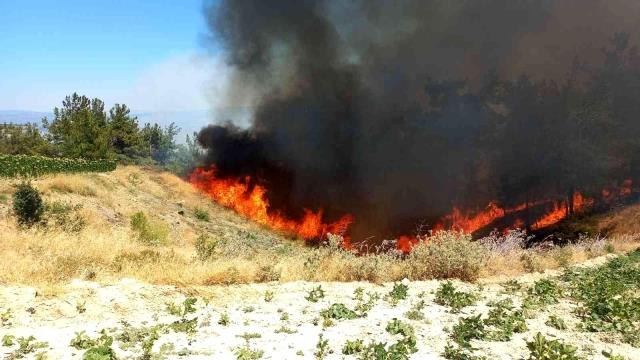 Son dakika haberi: Manisa Büyükşehir İtfaiyesi Gördes yangını için seferber oldu