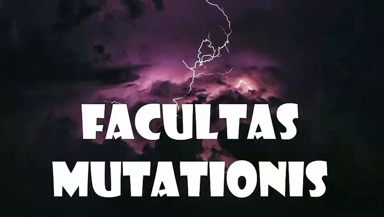 # Volkslehrer : 10 Fragen an Nikolai Nerling