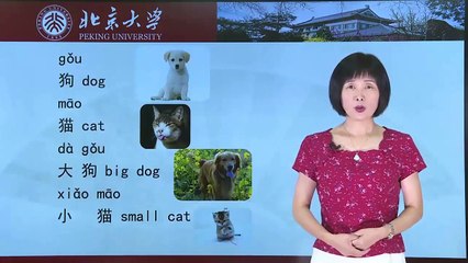 Chinese HSK 1 week 2 lesson 2