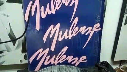 SALSA GORDA TELEVISION