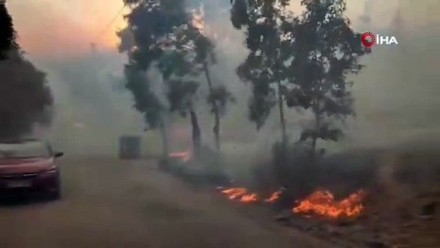 Atina'da korkutan orman yangın: Bölge sakinleri tahliye edildi