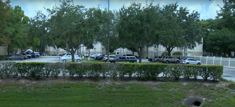 Fla. Teen Allegedly Killed 3-Year-Old Sister by Putting Pillow Over Her Face to 'Quiet Her Down'