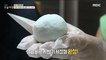 [LIVING] Toilet cleaning gel made of toothpaste!, 생방송 오늘 아침 220720