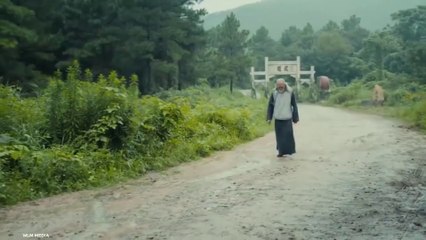 Old Man Kung Fu Master Fight Scene