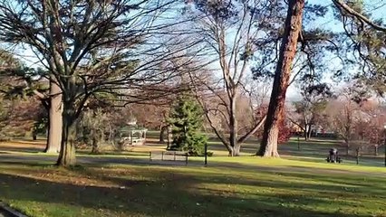 A Day in the Life at Design Tas