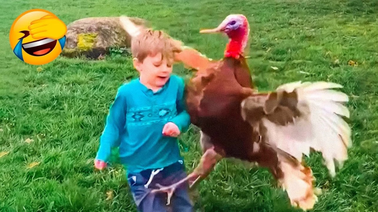 Best Funny Animal Videos 2022  - Funniest And Cute Cats And Dogs Videos