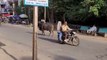 Gujarat Road यहां की सड़क बन जाती है अखाड़ा, होता है मल्ल युद्ध