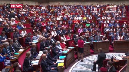 Un député LREM fait un salut nazi à l'assemblée