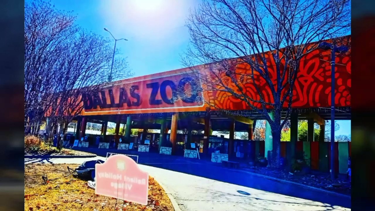 Dallas Zoo full tour - Things to do in Texas