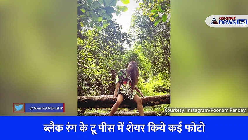 जंगली हुईं पूनम पांडे... ब्लैक बिकनी में किया फैंस का वेलकम...  आग की तरह वायरल हुआ Video 