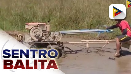 DA, prayoridad na mapataas ang ani para mapababa ang presyo ng bigas at fertilizers; Patuloy ang pakikipag-usap sa stakeholders para sa SRP ng asukal