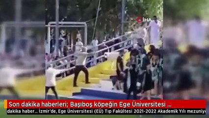 Son dakika haberleri: Başıboş köpeğin Ege Üniversitesi mezuniyet töreninde insanlara saldırdığı anlar kamerada