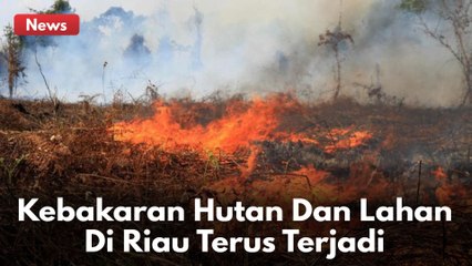 Hampir Seluruh Daerah di Riau Terdeteksi Karhutla !!