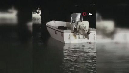 Büyükçekmece’de 'su samuru' sürprizi