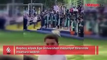 Başıboş köpek Ege Üniversitesi mezuniyet töreninde insanlara saldırdı